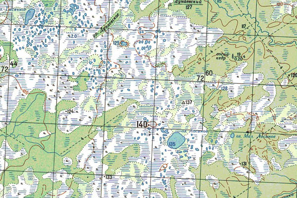 Уменьшенный фрагмент представленной топографической карты O-44-12 - Trasa.ru
