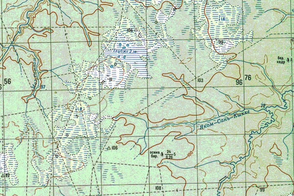 Уменьшенный фрагмент представленной топографической карты O-44-13 - Trasa.ru