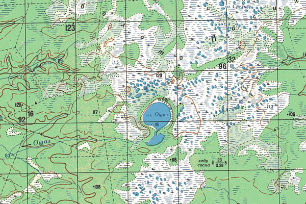 Уменьшенный фрагмент представленной топографической карты O-44-14 - Trasa.ru