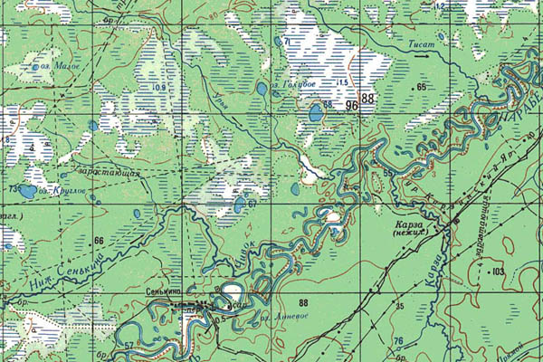 Уменьшенный фрагмент представленной топографической карты O-44-15 - Trasa.ru