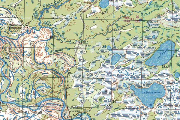 Уменьшенный фрагмент представленной топографической карты O-44-17 - Trasa.ru