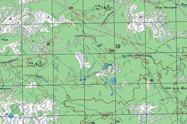 Уменьшенный фрагмент представленной топографической карты O-44-20 - Trasa.ru