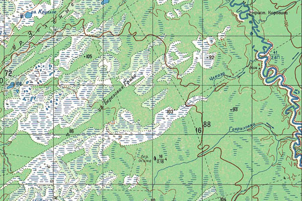 Уменьшенный фрагмент представленной топографической карты O-44-21 - Trasa.ru