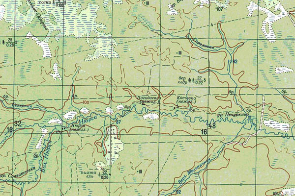 Уменьшенный фрагмент представленной топографической карты O-44-22 - Trasa.ru