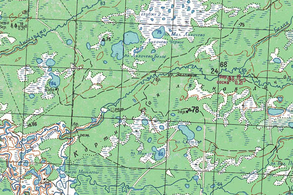 Уменьшенный фрагмент представленной топографической карты O-44-24 - Trasa.ru