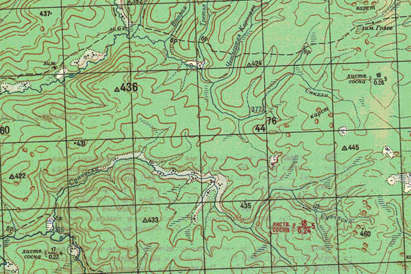 Уменьшенный фрагмент представленной топографической карты O-49-01 - Trasa.ru