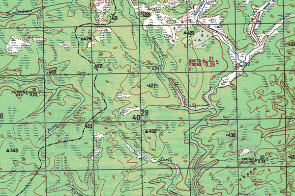 Уменьшенный фрагмент представленной топографической карты O-49-02 - Trasa.ru