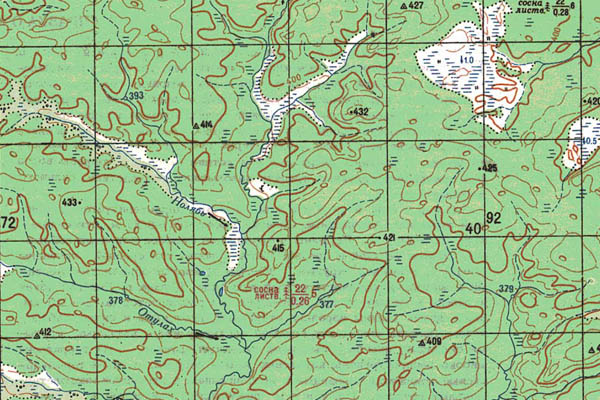 Уменьшенный фрагмент представленной топографической карты O-49-03 - Trasa.ru