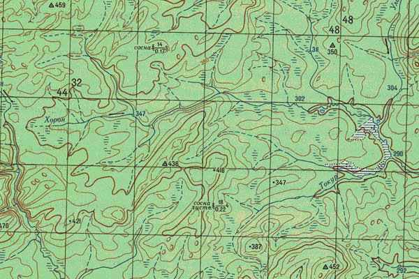 Уменьшенный фрагмент представленной топографической карты O-49-04 - Trasa.ru