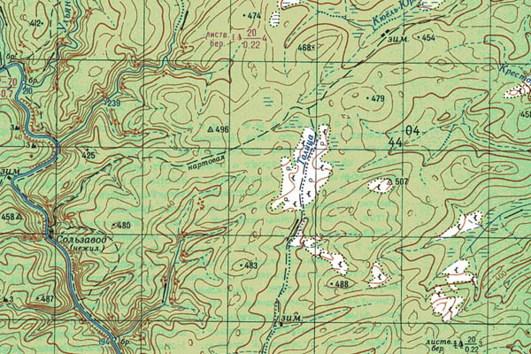 Уменьшенный фрагмент представленной топографической карты O-49-05 - Trasa.ru