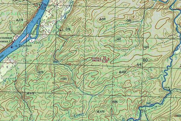Уменьшенный фрагмент представленной топографической карты O-49-06 - Trasa.ru