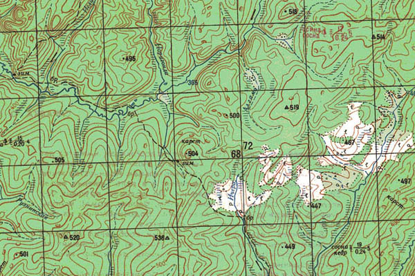 Уменьшенный фрагмент представленной топографической карты O-49-07 - Trasa.ru