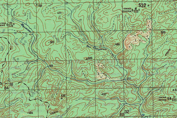 Уменьшенный фрагмент представленной топографической карты O-49-08 - Trasa.ru