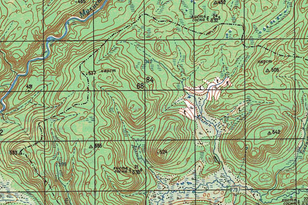 Уменьшенный фрагмент представленной топографической карты O-49-09 - Trasa.ru