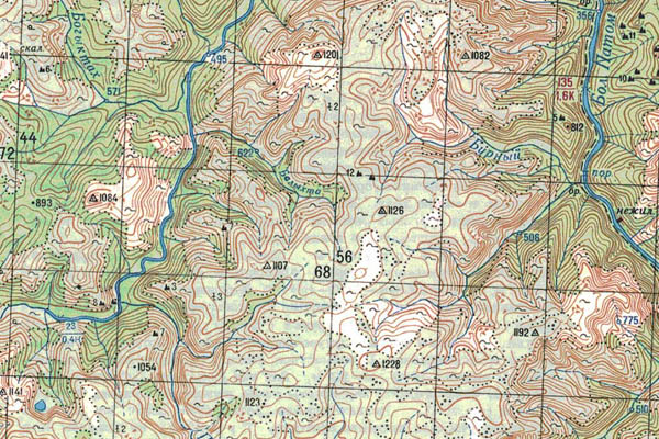 Уменьшенный фрагмент представленной топографической карты O-49-12 - Trasa.ru