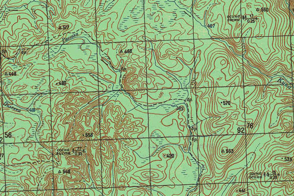 Уменьшенный фрагмент представленной топографической карты O-49-13 - Trasa.ru