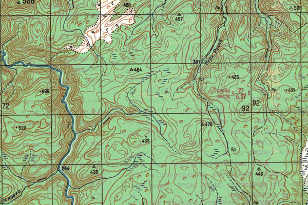 Уменьшенный фрагмент представленной топографической карты O-49-15 - Trasa.ru