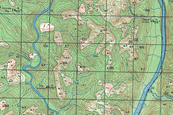 Уменьшенный фрагмент представленной топографической карты O-49-17 - Trasa.ru