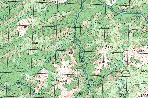 Уменьшенный фрагмент представленной топографической карты O-49-18 - Trasa.ru