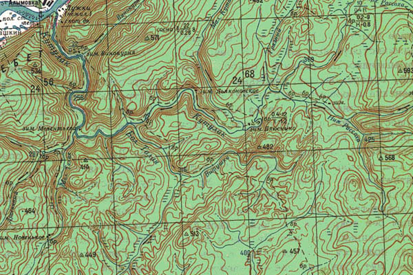 Уменьшенный фрагмент представленной топографической карты O-49-19 - Trasa.ru