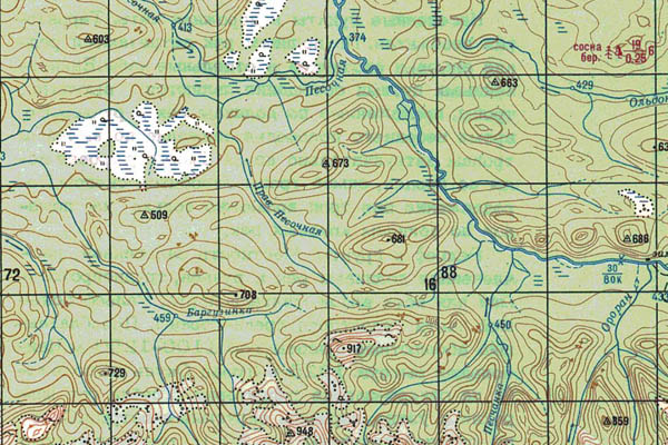 Уменьшенный фрагмент представленной топографической карты O-49-21 - Trasa.ru