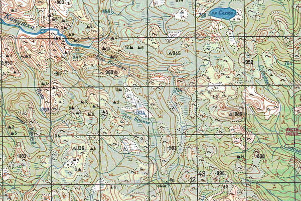 Уменьшенный фрагмент представленной топографической карты O-49-22 - Trasa.ru