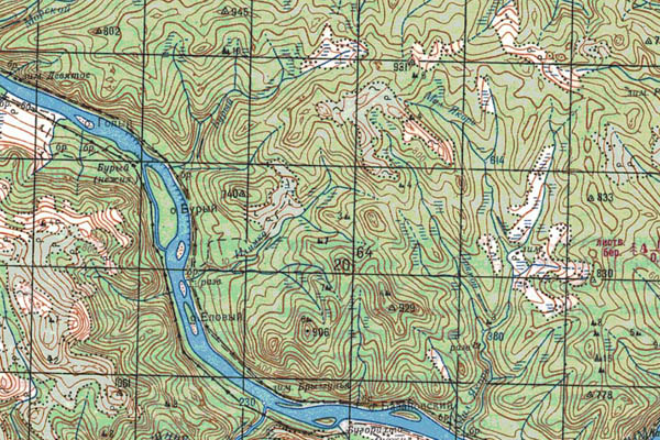 Уменьшенный фрагмент представленной топографической карты O-49-24 - Trasa.ru