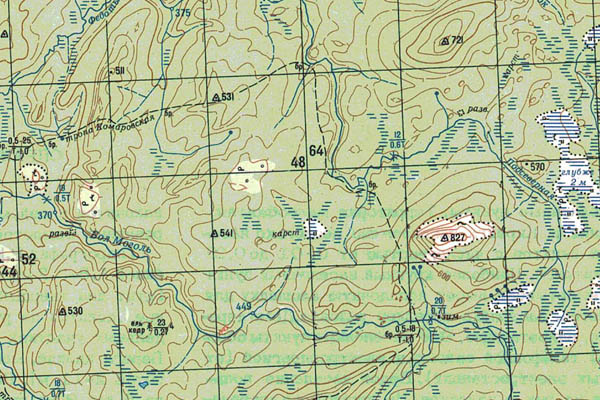 Уменьшенный фрагмент представленной топографической карты O-49-25 - Trasa.ru
