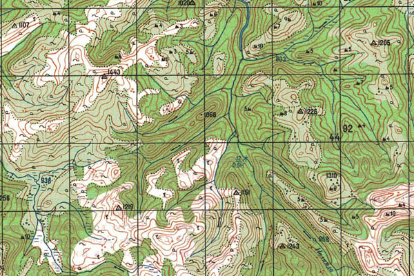 Уменьшенный фрагмент представленной топографической карты O-49-27 - Trasa.ru