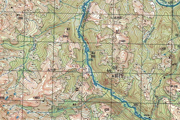 Уменьшенный фрагмент представленной топографической карты O-49-29 - Trasa.ru