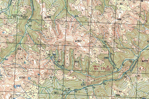 Уменьшенный фрагмент представленной топографической карты O-49-30 - Trasa.ru