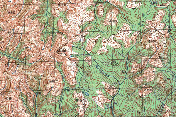 Уменьшенный фрагмент представленной топографической карты O-49-31 - Trasa.ru