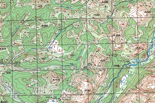 Уменьшенный фрагмент представленной топографической карты O-49-32 - Trasa.ru