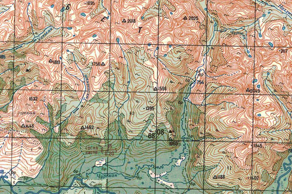 Уменьшенный фрагмент представленной топографической карты O-49-35 - Trasa.ru