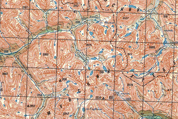 Уменьшенный фрагмент представленной топографической карты O-49-36 - Trasa.ru