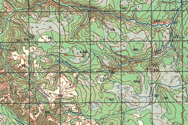 Уменьшенный фрагмент представленной топографической карты O-50-03 - Trasa.ru