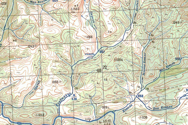 Уменьшенный фрагмент представленной топографической карты O-50-07 - Trasa.ru