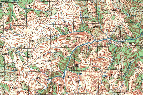 Уменьшенный фрагмент представленной топографической карты O-50-08 - Trasa.ru