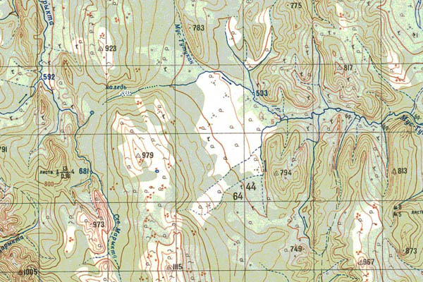 Уменьшенный фрагмент представленной топографической карты O-50-10 - Trasa.ru