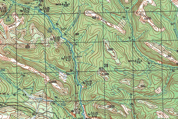Уменьшенный фрагмент представленной топографической карты O-50-14 - Trasa.ru