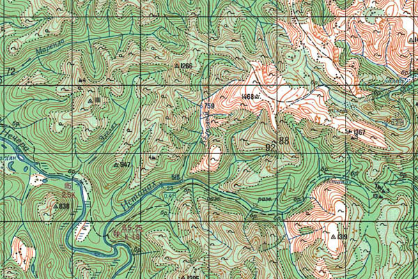 Уменьшенный фрагмент представленной топографической карты O-50-15 - Trasa.ru