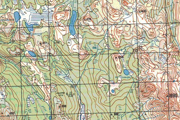Уменьшенный фрагмент представленной топографической карты O-50-20 - Trasa.ru