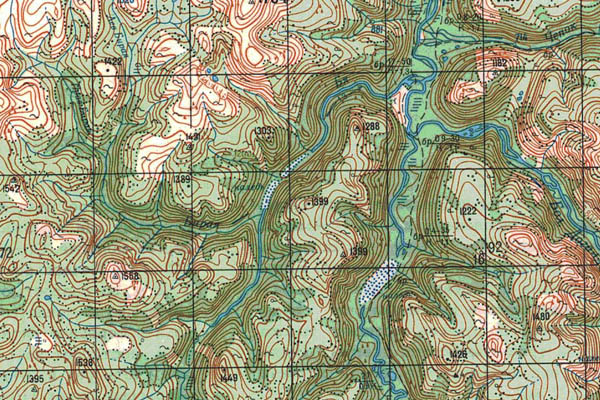 Уменьшенный фрагмент представленной топографической карты O-50-21 - Trasa.ru