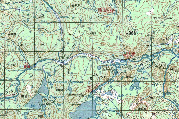 Уменьшенный фрагмент представленной топографической карты O-50-22 - Trasa.ru