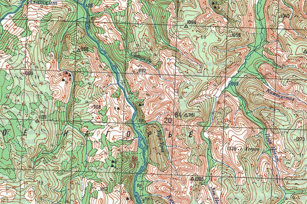 Уменьшенный фрагмент представленной топографической карты O-50-24 - Trasa.ru