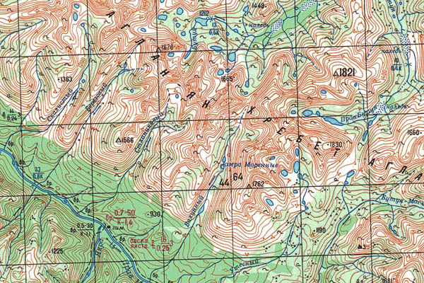 Уменьшенный фрагмент представленной топографической карты O-50-25 - Trasa.ru