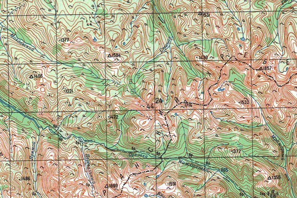 Уменьшенный фрагмент представленной топографической карты O-50-26 - Trasa.ru