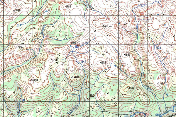 Уменьшенный фрагмент представленной топографической карты O-50-33 - Trasa.ru
