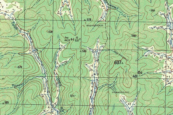 Уменьшенный фрагмент представленной топографической карты O-51-05 - Trasa.ru