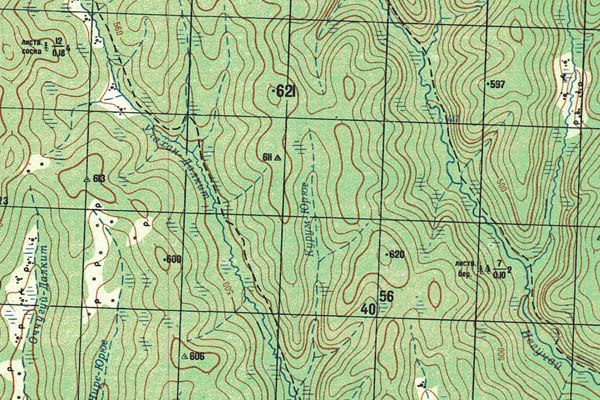 Уменьшенный фрагмент представленной топографической карты O-51-06 - Trasa.ru